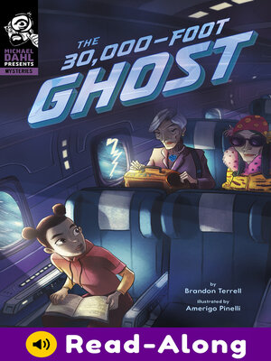 cover image of The 30,000-Foot Ghost